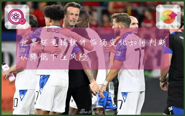 世界杯竞猜软件临场变化如何判断以降低下注风险