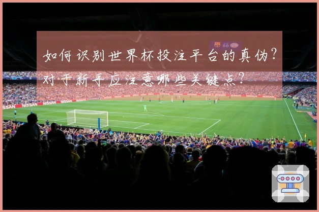 如何识别世界杯投注平台的真伪？对于新手应注意哪些关键点？