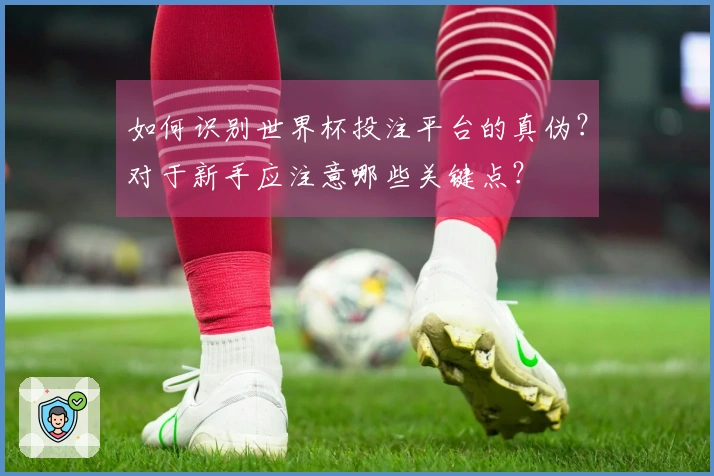 如何识别世界杯投注平台的真伪？对于新手应注意哪些关键点？