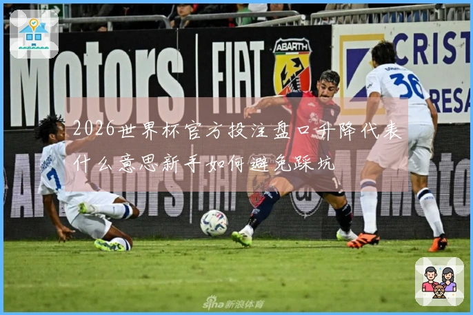2026世界杯官方投注盘口升降代表什么意思新手如何避免踩坑