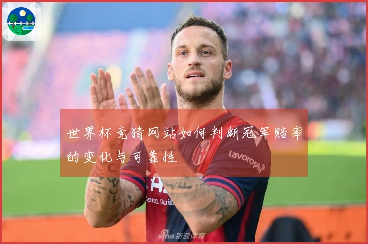 世界杯竞猜网站如何判断冠军赔率的变化与可靠性